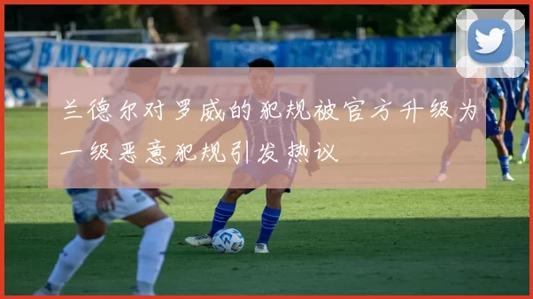 兰德尔对罗威的犯规被官方升级为一级恶意犯规引发热议
