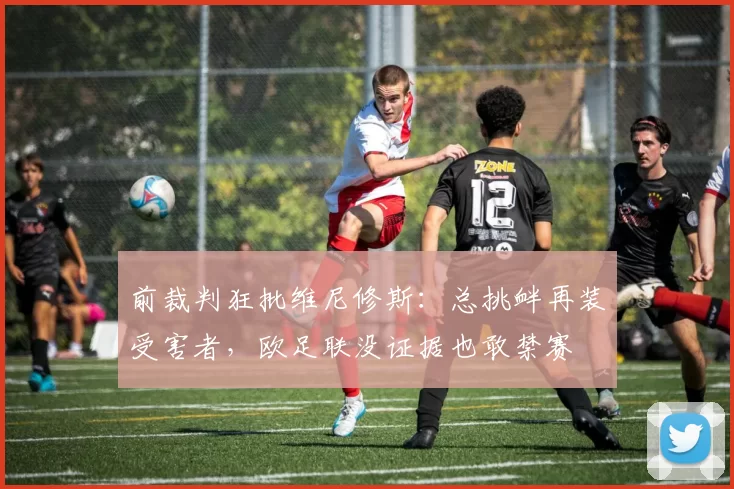 前裁判狂批维尼修斯：总挑衅再装受害者，欧足联没证据也敢禁赛